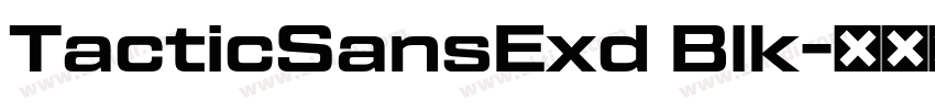 TacticSansExd Blk字体转换